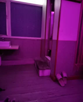 验证海口东北轻熟女