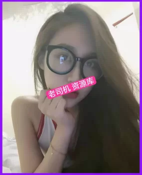 老司机 资源库