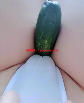 肥奶骚妇肥鲍鱼和她的黄瓜